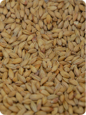 Agricultural products